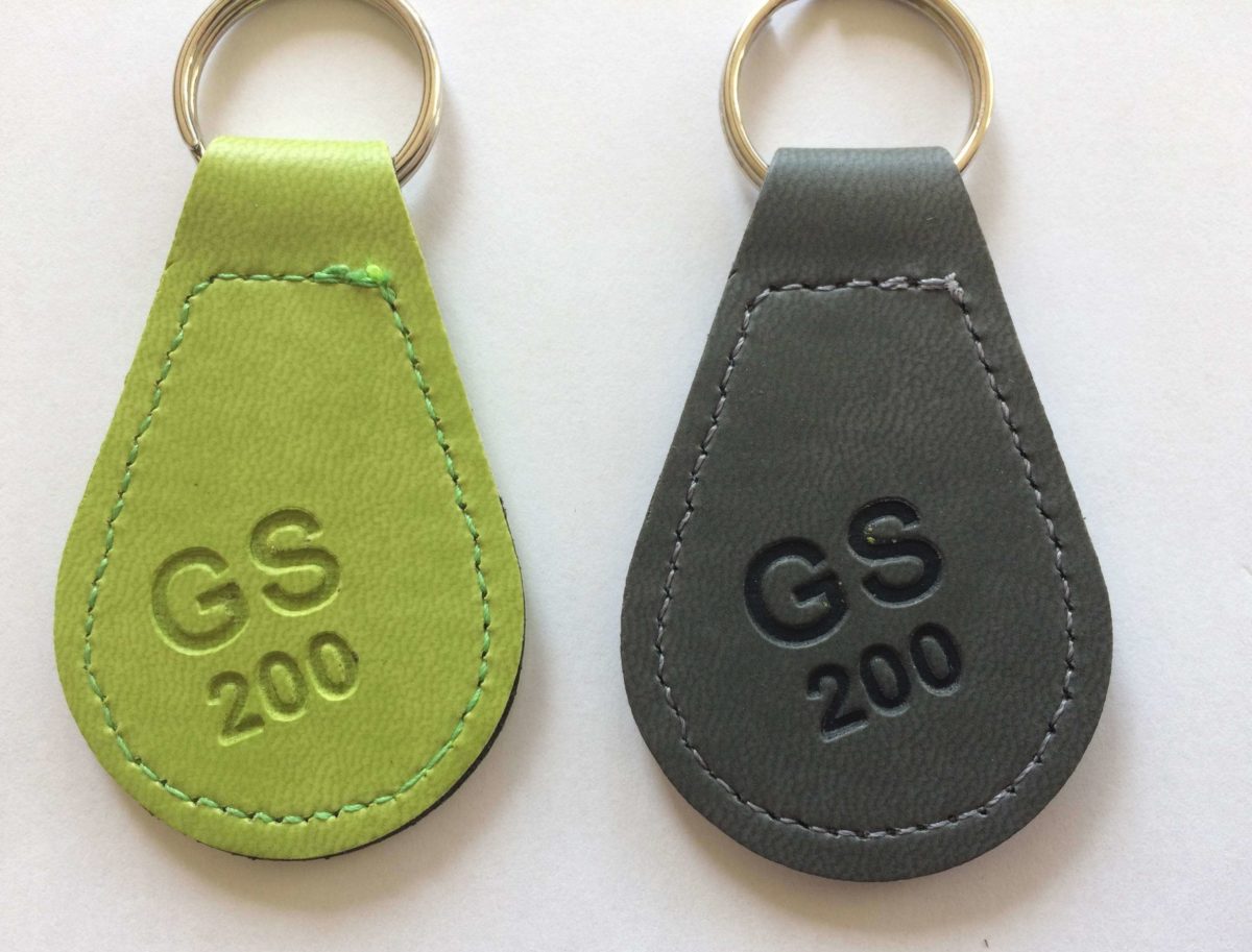 Cuir_GS2.jpg