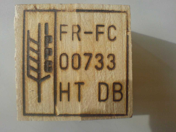 image%20(1).png